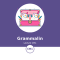 Couverture du module Grammalin Lecture CM1 - La Malle