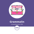 Couverture du module Grammalin Compréhension CM1 - La Malle